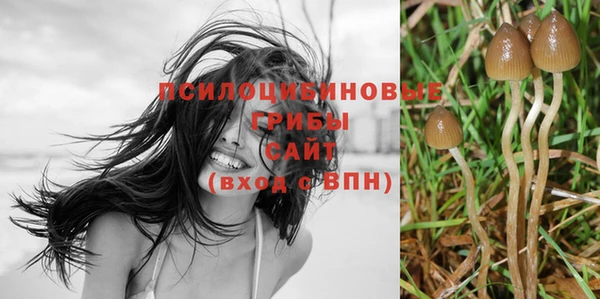 2c-b Невельск