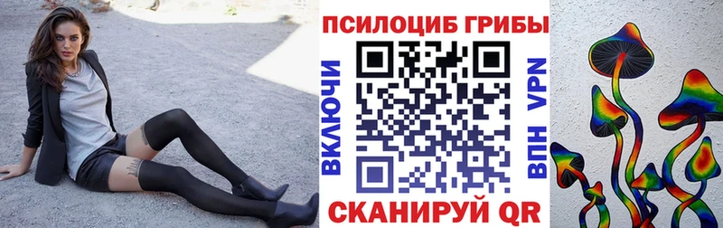 Псилоцибиновые грибы MAGIC MUSHROOMS  omg зеркало  Михайловка 