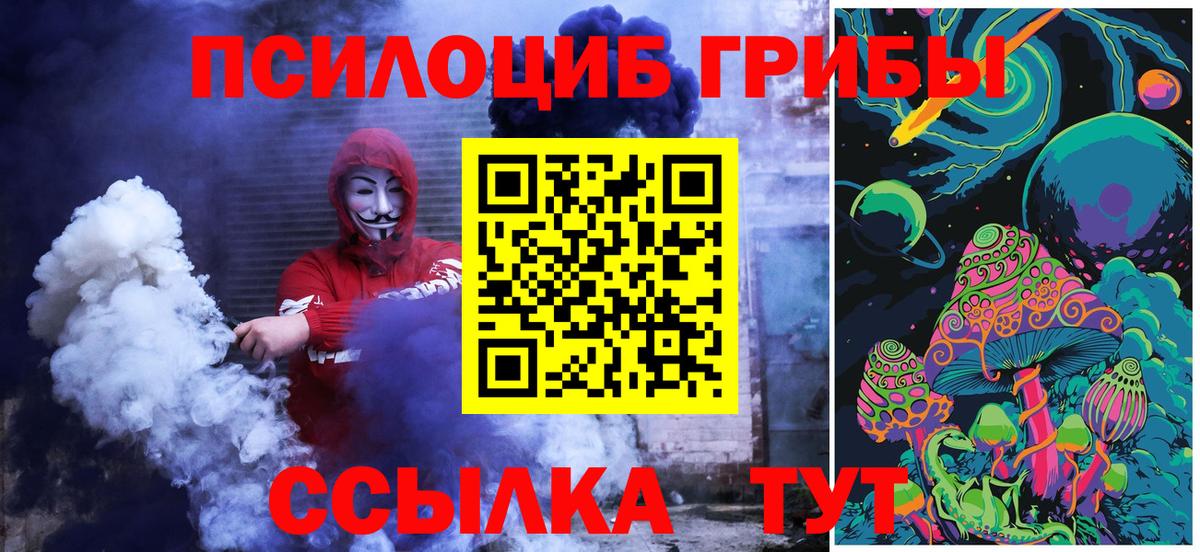Псилоцибиновые грибы мицелий  Вход с VPN  Михайловка 
